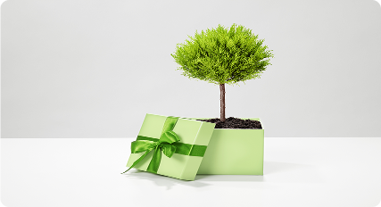 Occasion Gifts