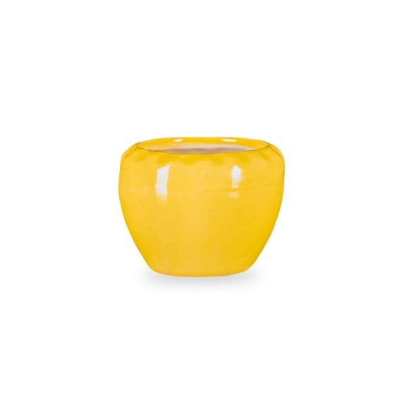 Rim Cup Pot