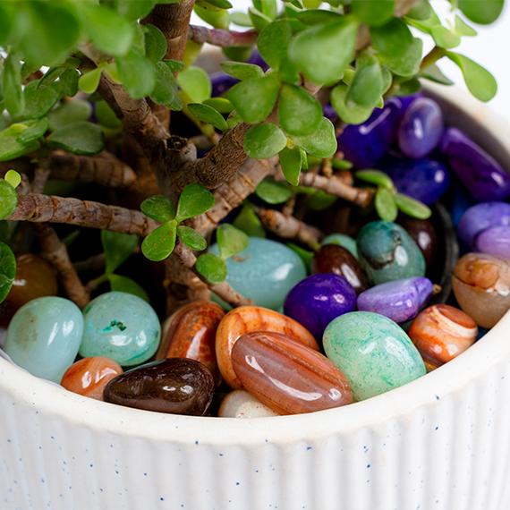 Standard Onyx multi-colour