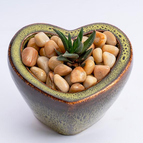 Natural Golden Pebbles