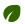 Eco-Conscious Icon